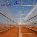 LEON-Serie 2016 Meistverkauftes landwirtschaftliches Gewächshaus / Wintergarten / Foliengewächshaus